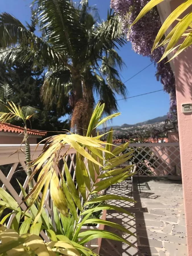 Casa Do Poco Funchal公寓 葡萄牙